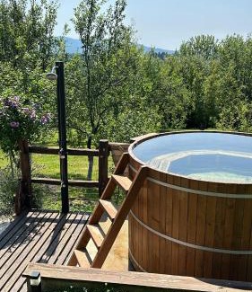 Zumberak Ski Chalet | Javor Holiday House