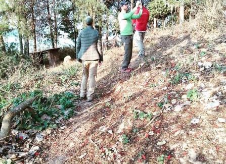 Kabale Other | Jay's