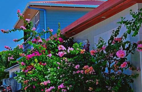 Milandhoo House | Jazz guest house