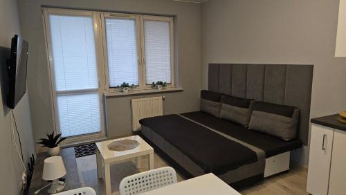 Plock Apartment | Jedenastka