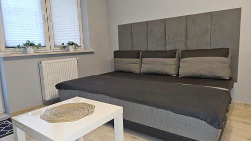 Plock Apartment | Jedenastka
