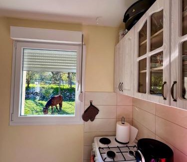 Donje Polje House | Jelena
