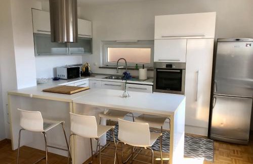 Obcina Brezovica Apartment | Jenny Apartment with Jacuzzi