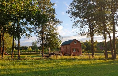 Uscimow House | JEZIORAKI Uroczy domek i sauna 400m od jeziora Nowa Jedlanka