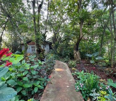 Jinja Other | Jinja Jungle