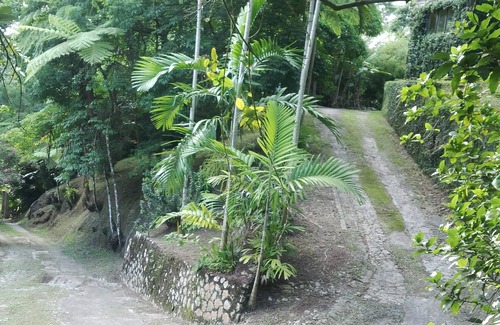 Mount James House | Lejartre's Retreat, A Vacation Villa in the Blue & John Crow Mountains, Jamaica