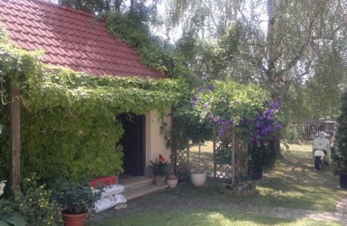 Lackenbach House | Joes Cottage