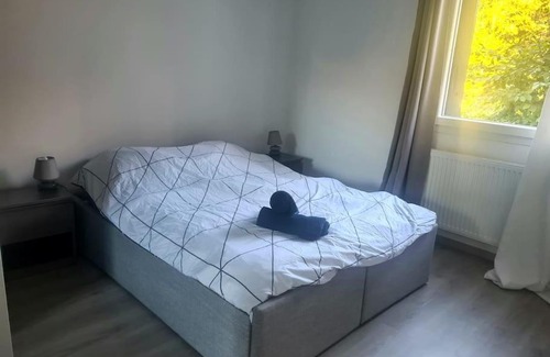 Bonneville Apartment | Joli Appartement vue montagne, cosy avec jardin