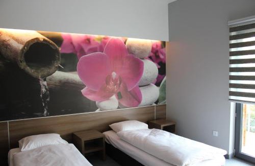 Wodzislaw Slaski Apartment | Jordaszka