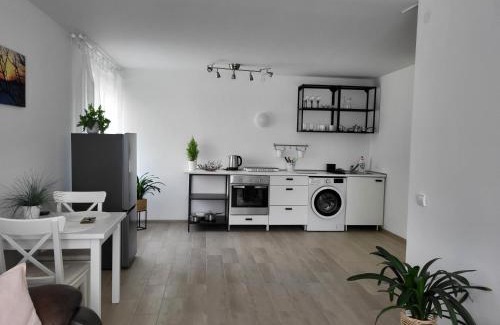 Panevezys county Apartment | JOREDA apartamentai