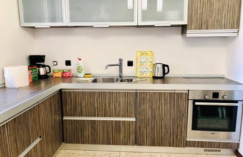 Old City Apartment | Joy City Stay George Enescu 12