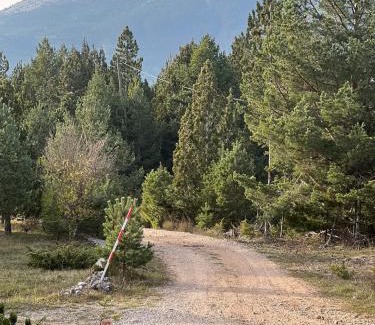Blidinje Nature Park Ski Chalet | Jozin put -planinska kuća
