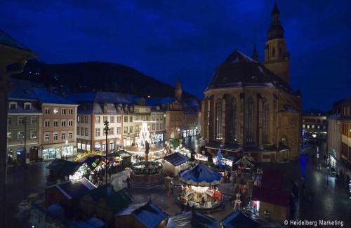 Neuenheim Hostel | Jugendherberge Heidelberg International
