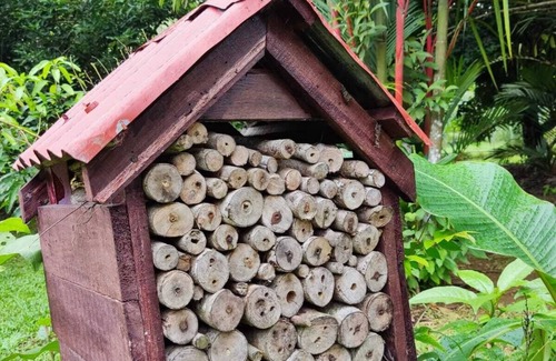 Guacimo House | JUNE 24 VILLAGE