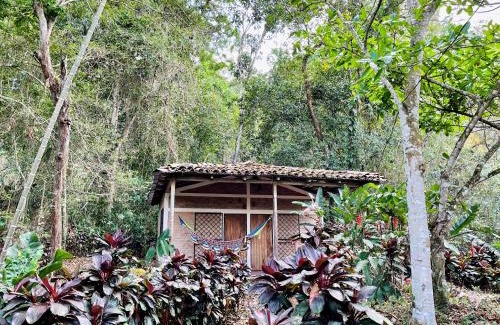 Matagalpa Bed & Breakfast | Jungle Cabins El Escondido