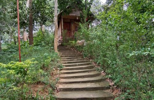 Sreemangal Upazila Cabin | Jungle cottage