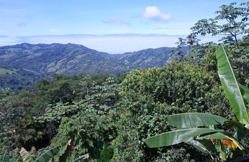 Baru House | Jungle House, 4 Bedroom, 5.5 Baths