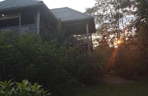 Kibale Cabin | Jungle Lodge Kibale