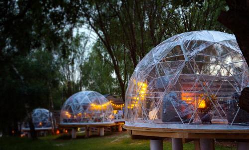 Wola Kalinowska House | JURA GLAMP luksusowe całoroczne domki na wyłączność KOPUŁY IGLOO taras ogród