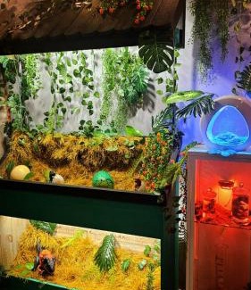 Rosnay House | Jurassic Lodge, le repaire des dinosaures