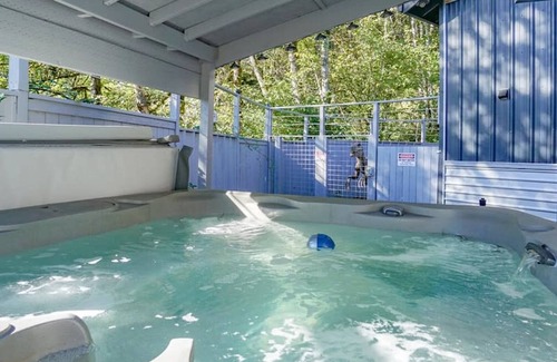 Washougal House | Jurassic Themed Adventure 4BR Home With Hot Tub