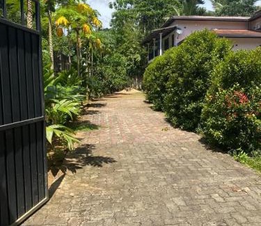 Kotapola House | Just Now Inn Sinharaja