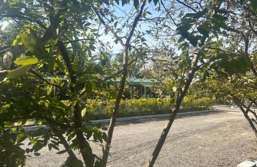 Junagadh Resort | JVL Resort By Nexottel