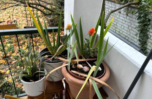 Nippes Apartment | Köln Wohnung 4 min nähe von Hbf und Dom mit Garten ,Balkon & office