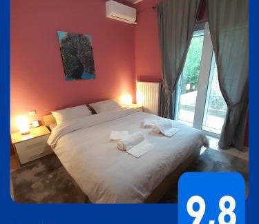 Zitsa Apartment | K & R apartment