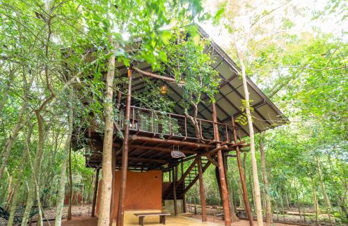 Attikulama Resort | Kaala Kalaththewa Luxury Eco Resort