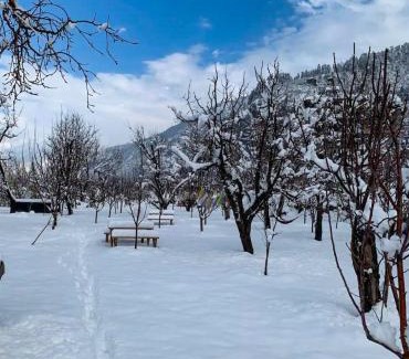 Jagatsukh Ski Chalet | Kahaani - Private Chalet with Bonfire and Apple Orchard