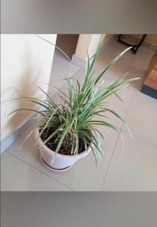Southern District House | Kalahari