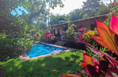 Palomino Bed & Breakfast | Kallpa B&B