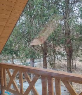 Cisna House | Kalnica 74