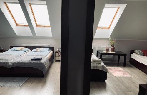 Zmigrod House | Kamienica pod Rakiem
