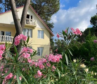 Ureki Villa | Kaprovani Villa 22