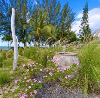Pointe Aux Sables Apartment | kapsables