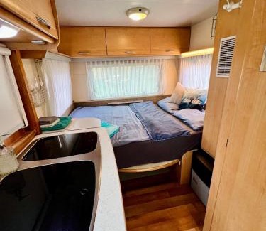 Pacejov Cabin | Karavan v březovém háječku