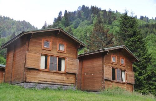 Ayder Yaylasi Ski Chalet | Kardelen Bungalov Evleri̇