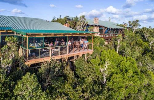 Kenton on Sea Cabin | Kariega Game Reserve Main Lodge
