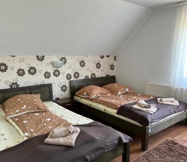 Sovata Bed & Breakfast | Karina panzio