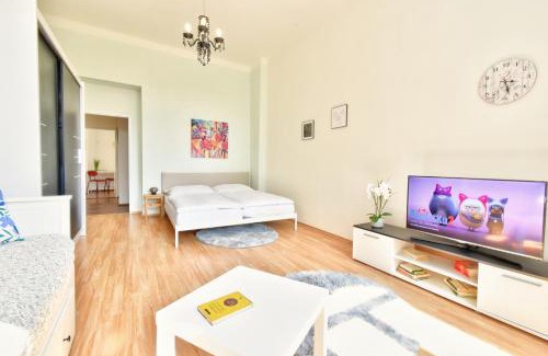 Karlovy Vary Apartment | Karlsbad APT