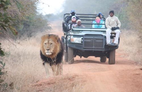 Maruleng Cabin | Karongwe Portfolio - Becks Safari Lodge