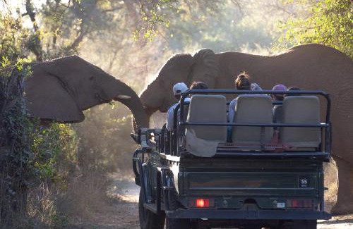 Maruleng Other | Karongwe Portfolio - Chisomo Safari Camp