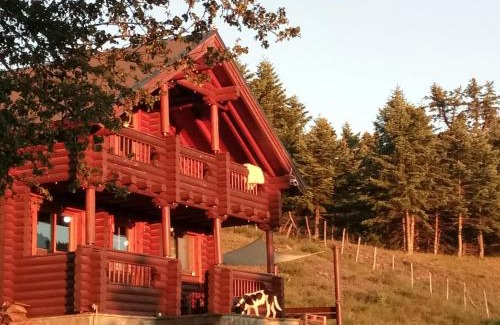 Potamia Ski Chalet | Katafygio Chalet, Krikello