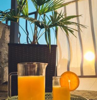 Nerezise Apartment | Kaya house