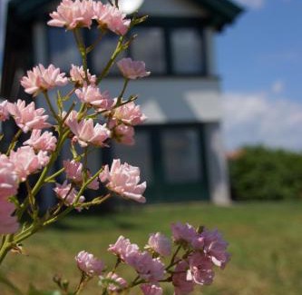 Eisenberg an der Pinka House | Kellerstöckl Weinblick I und II