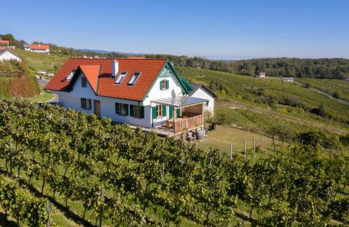 Eisenberg an der Pinka House | Kellerstöckl Weinblick I und II