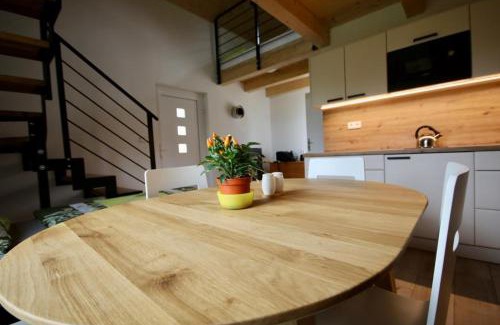Vedomice Apartment | Kemp na Zálabí