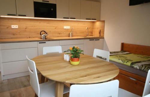 Vedomice Apartment | Kemp na Zálabí